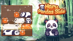 Haru Pandas Slide